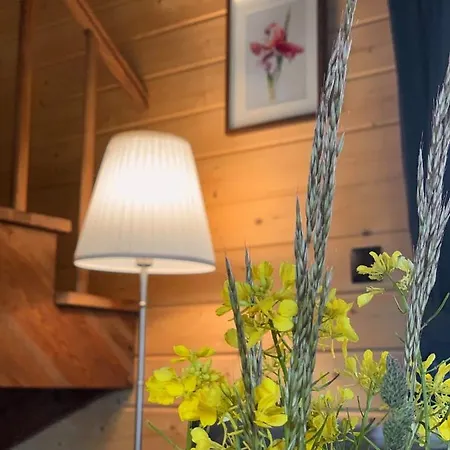 Osada - Całoroczne Na Mazurach * Skorupki